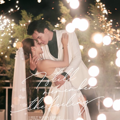 Studio phong cách Hàn Quốc- Collection 8